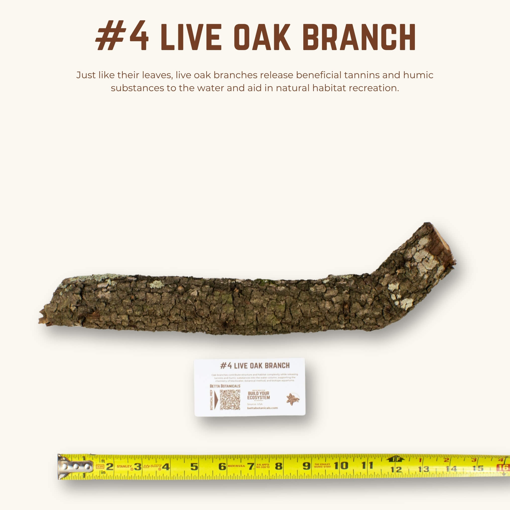 Live Oak Branches | WYSIWYG Pieces
