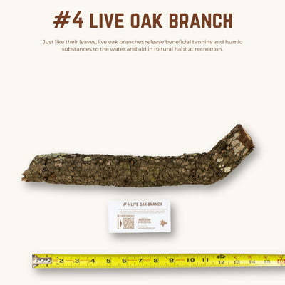 Live Oak Branches | WYSIWYG Pieces