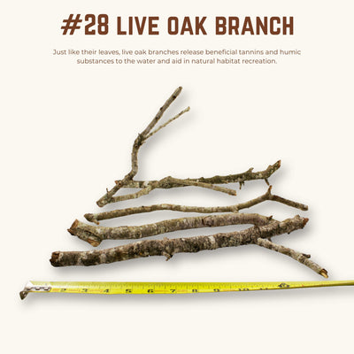 Live Oak Branches | WYSIWYG Pieces