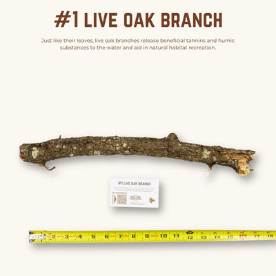 Live Oak Branches | WYSIWYG Pieces