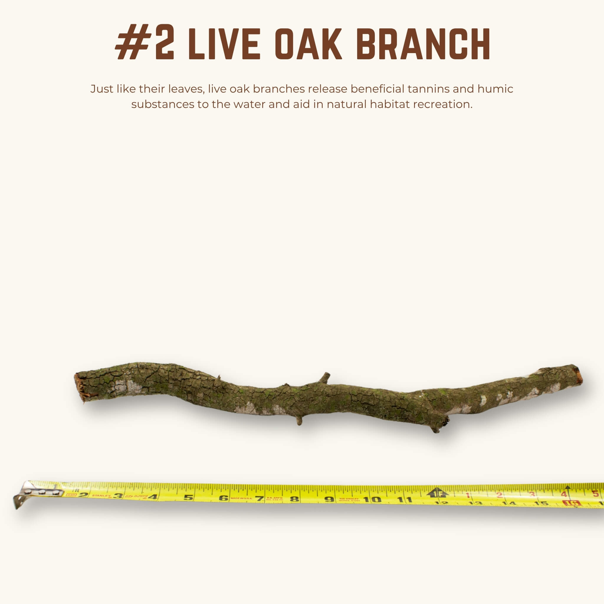 Live Oak Branches | WYSIWYG Pieces