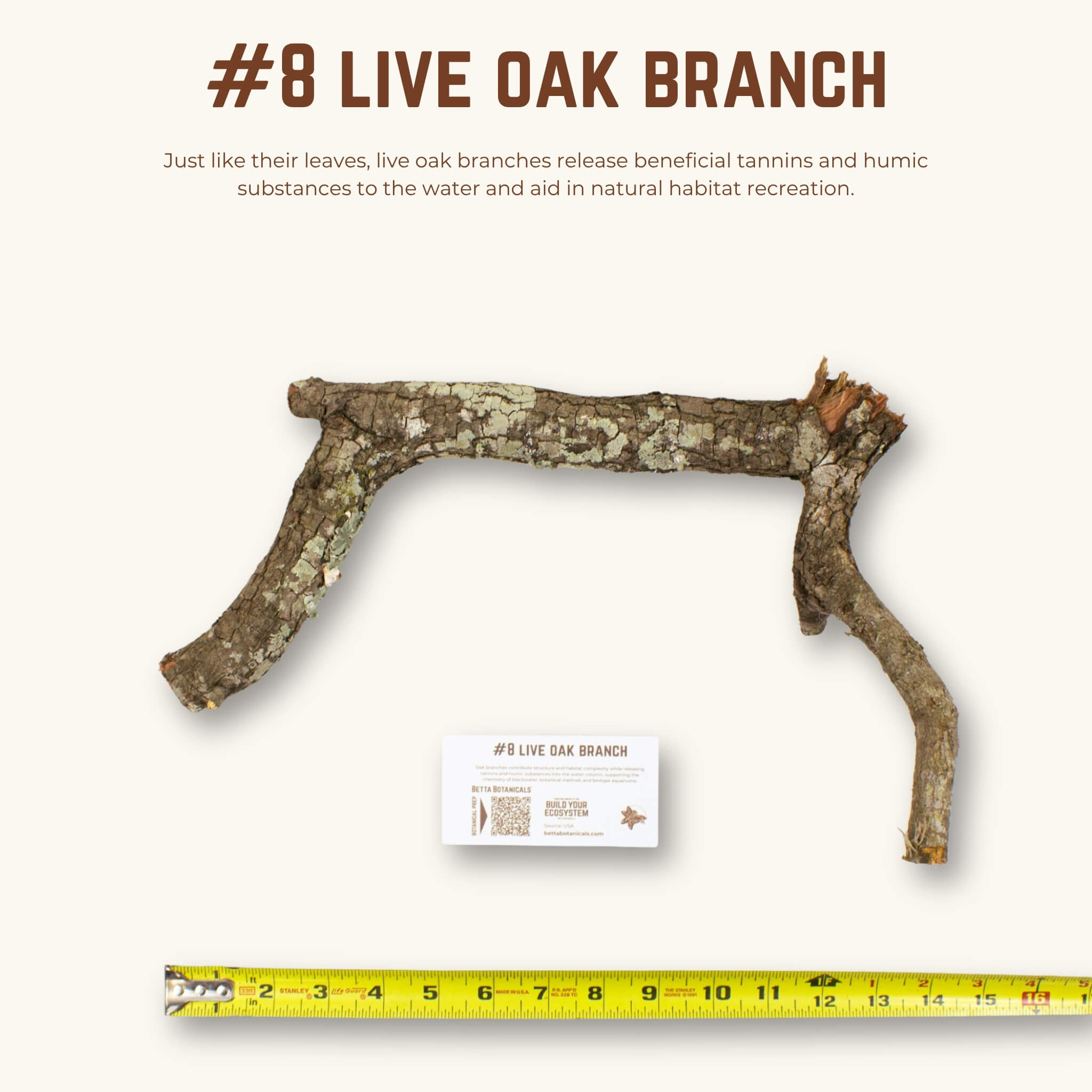 Live Oak Branches | WYSIWYG Pieces
