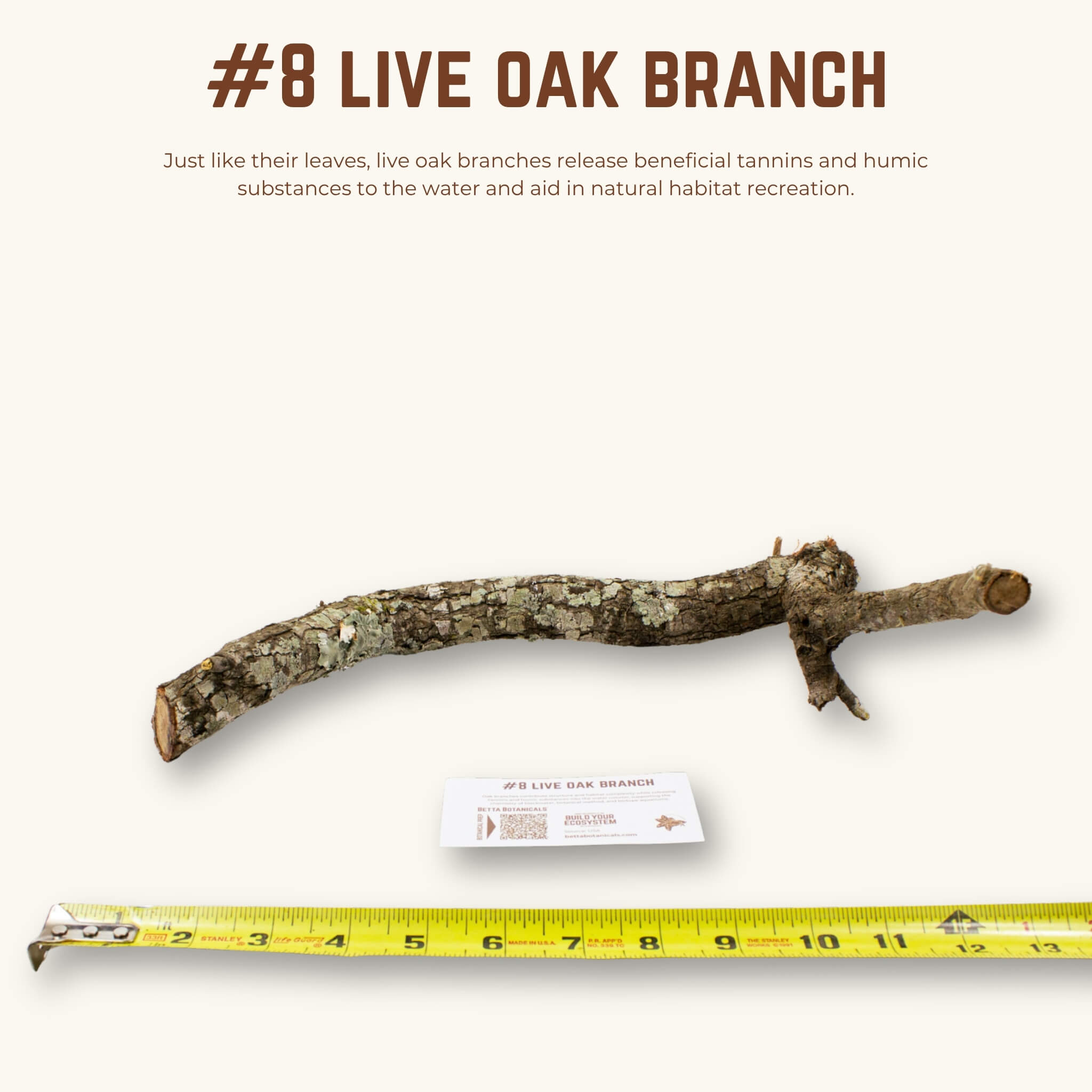 Live Oak Branches | WYSIWYG Pieces