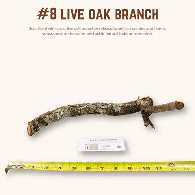 Live Oak Branches | WYSIWYG Pieces