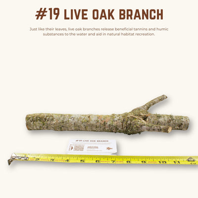 Live Oak Branches | WYSIWYG Pieces