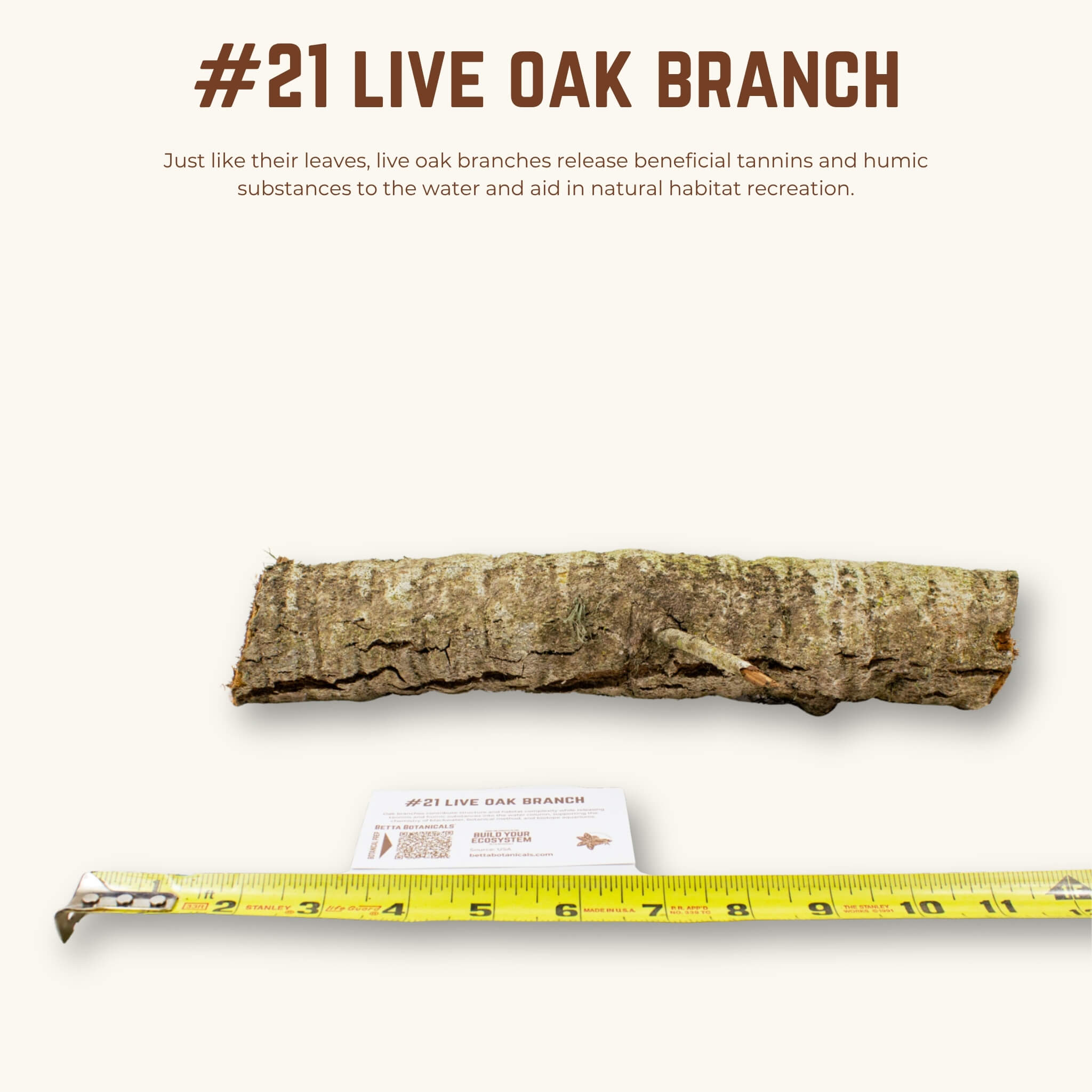 Live Oak Branches | WYSIWYG Pieces