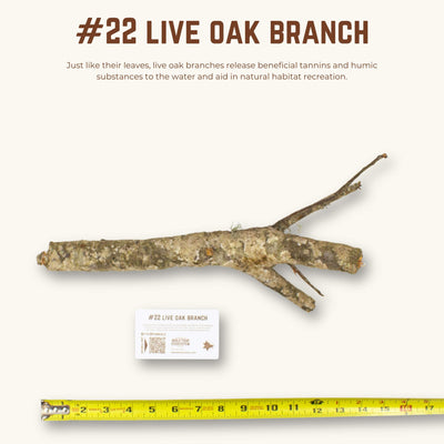 Live Oak Branches | WYSIWYG Pieces