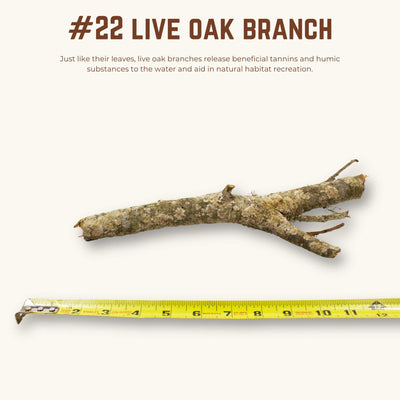 Live Oak Branches | WYSIWYG Pieces