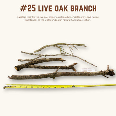 Live Oak Branches | WYSIWYG Pieces