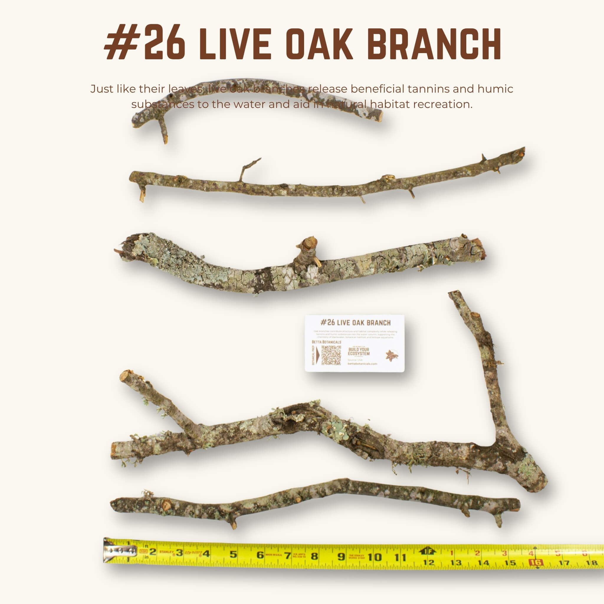Live Oak Branches | WYSIWYG Pieces
