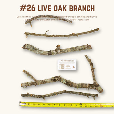 Live Oak Branches | WYSIWYG Pieces