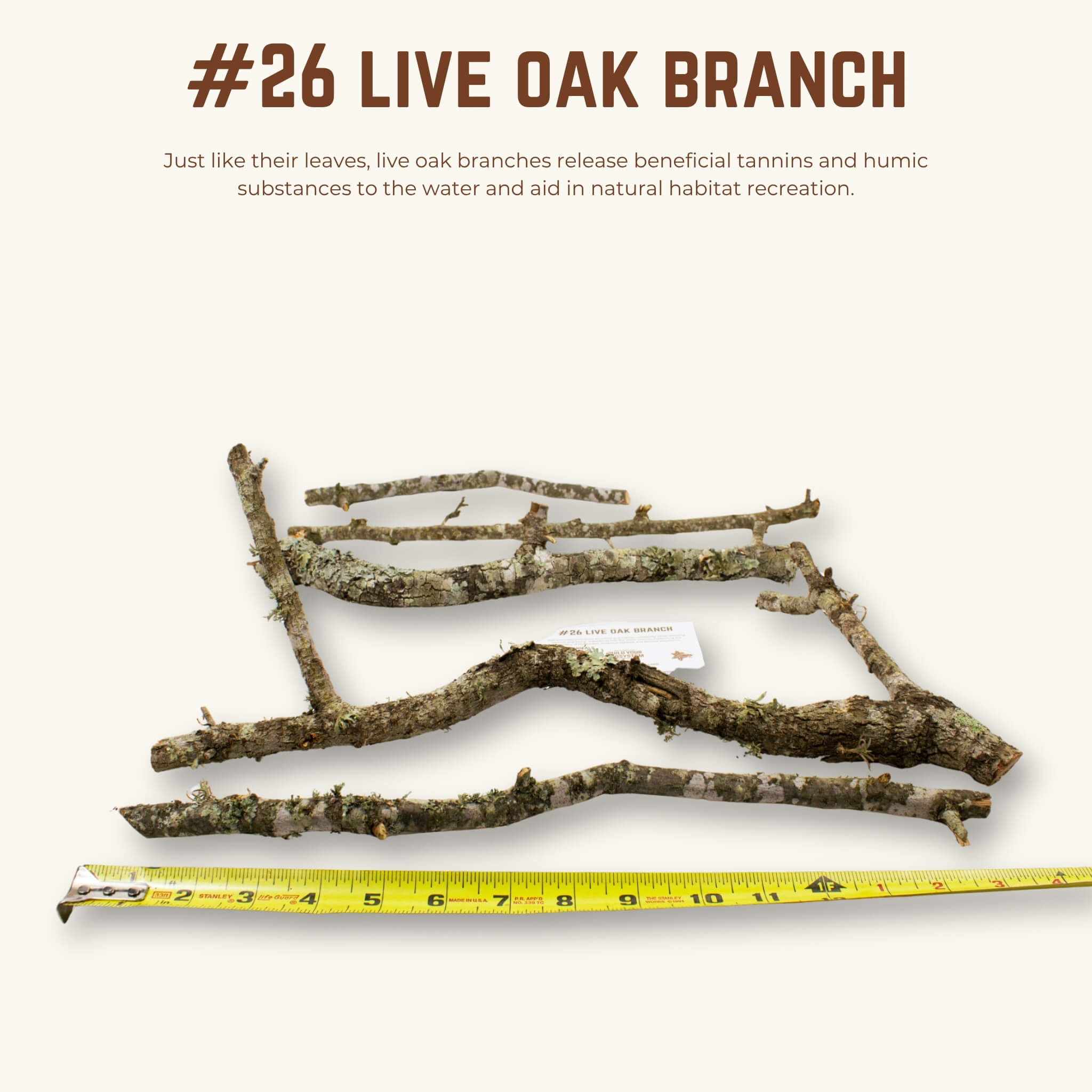 Live Oak Branches | WYSIWYG Pieces