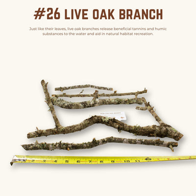 Live Oak Branches | WYSIWYG Pieces