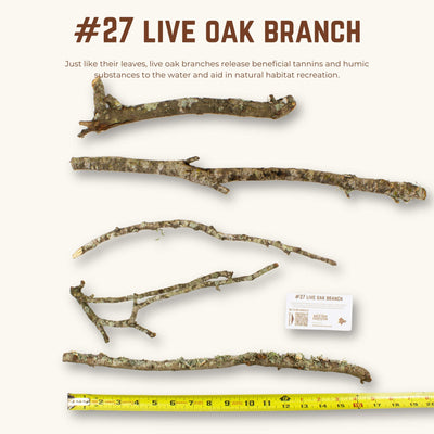 Live Oak Branches | WYSIWYG Pieces