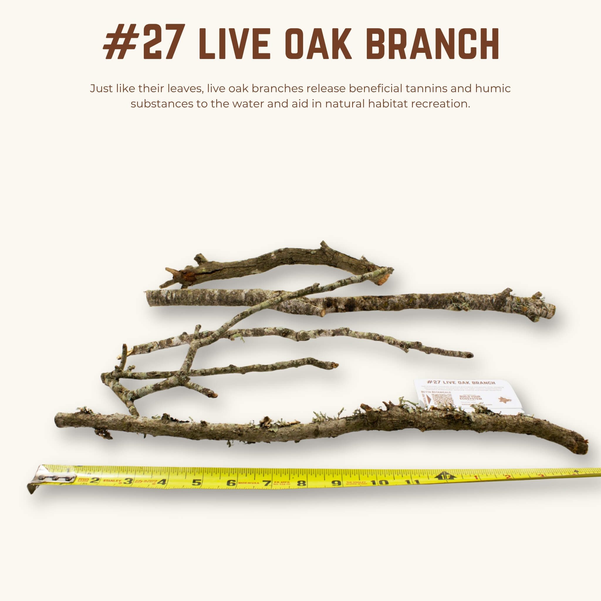 Live Oak Branches | WYSIWYG Pieces