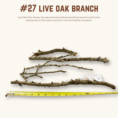 Live Oak Branches | WYSIWYG Pieces