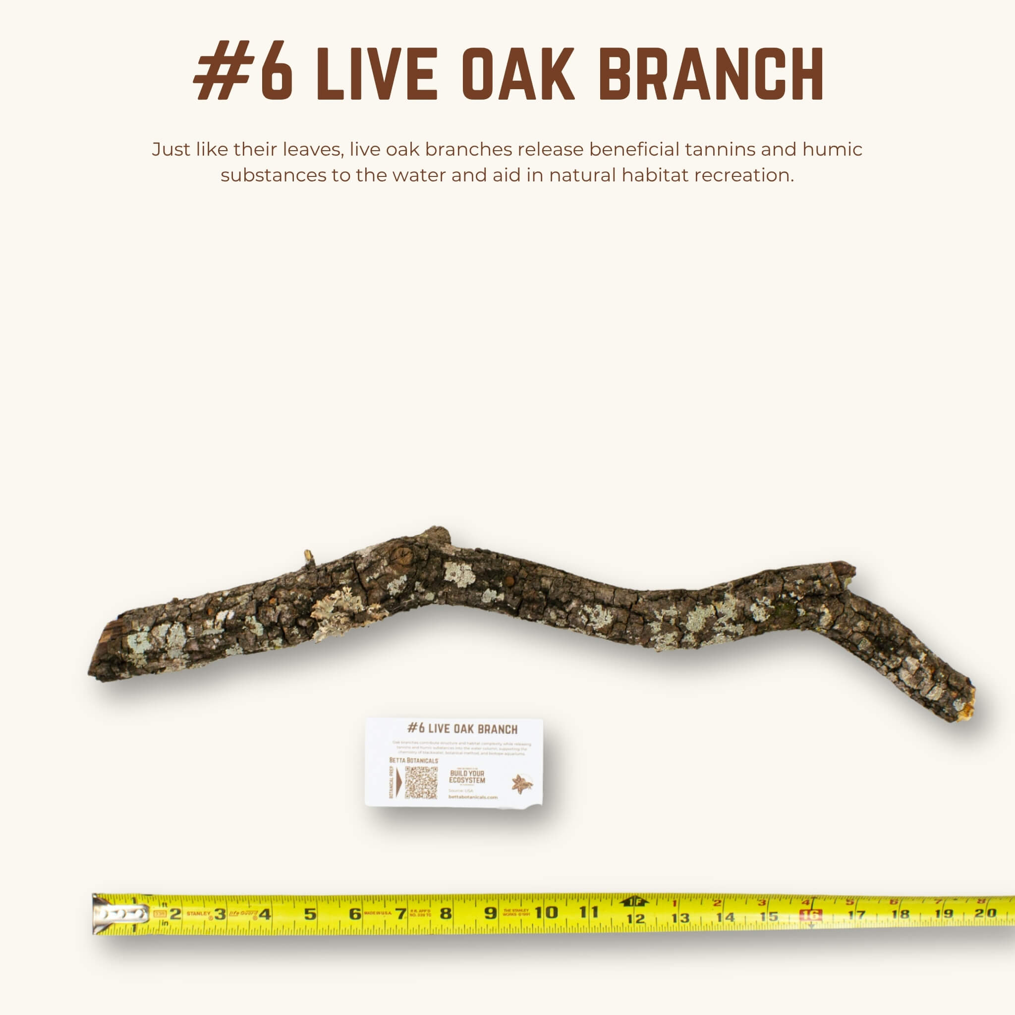 Live Oak Branches | WYSIWYG Pieces