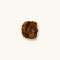 A single Tingui seed pod for South American biotope aquariums and vivariums, photographed on a natural background at Betta Botanicals.