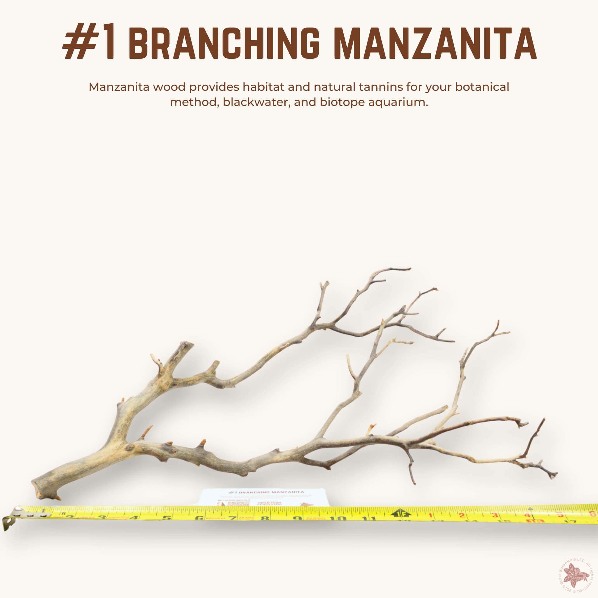Branching Manzanita | WYSIWYG Pieces