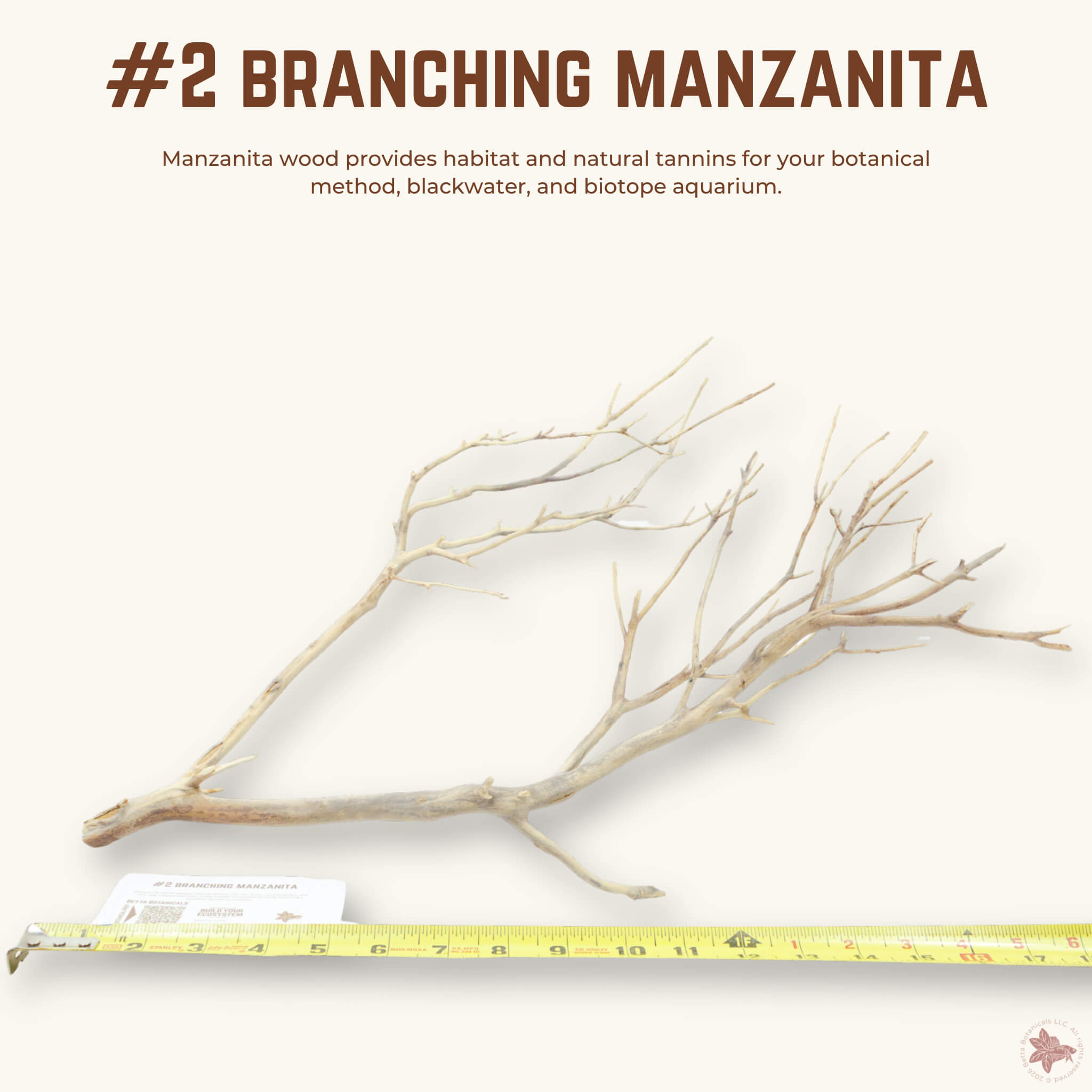 Branching Manzanita | WYSIWYG Pieces
