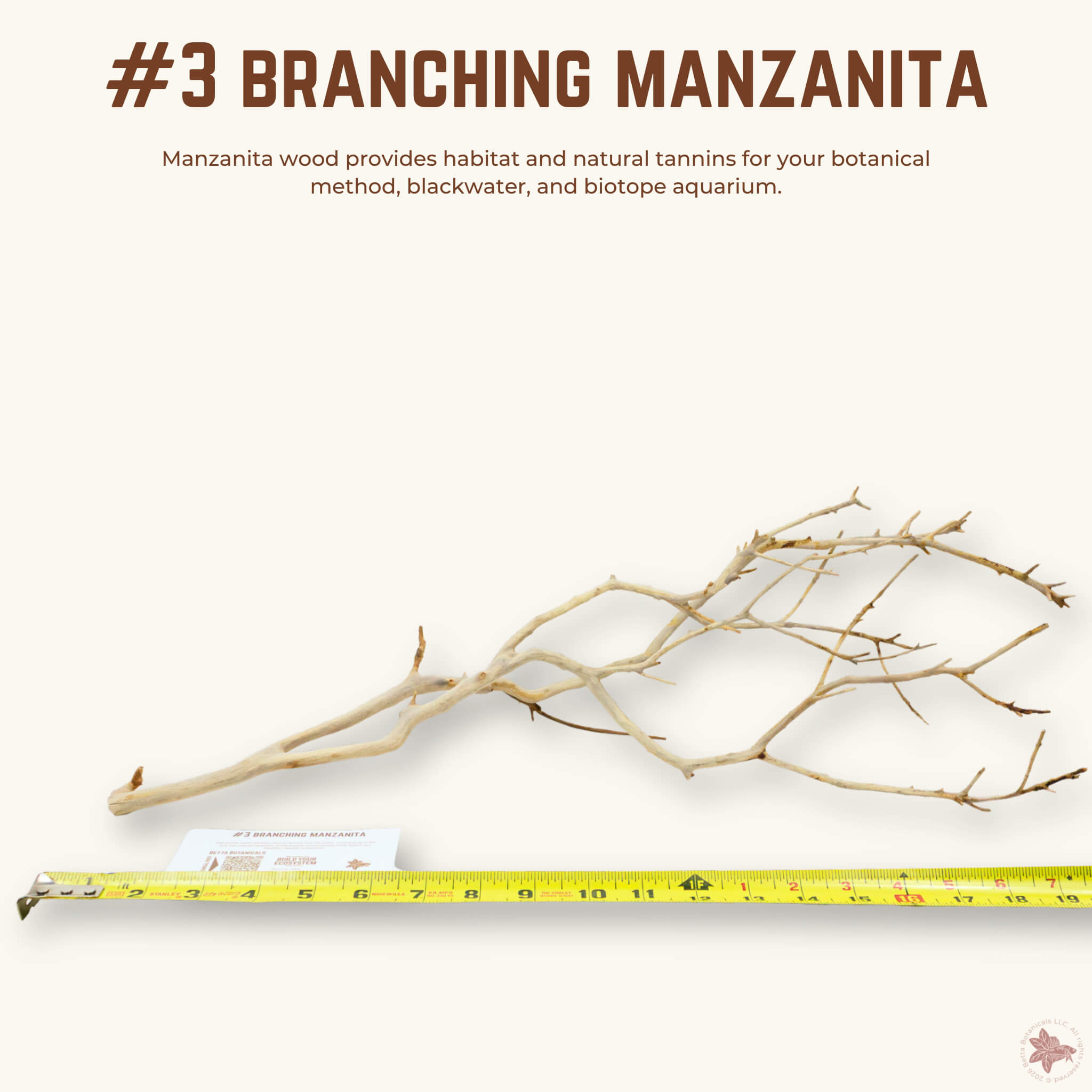 Branching Manzanita | WYSIWYG Pieces