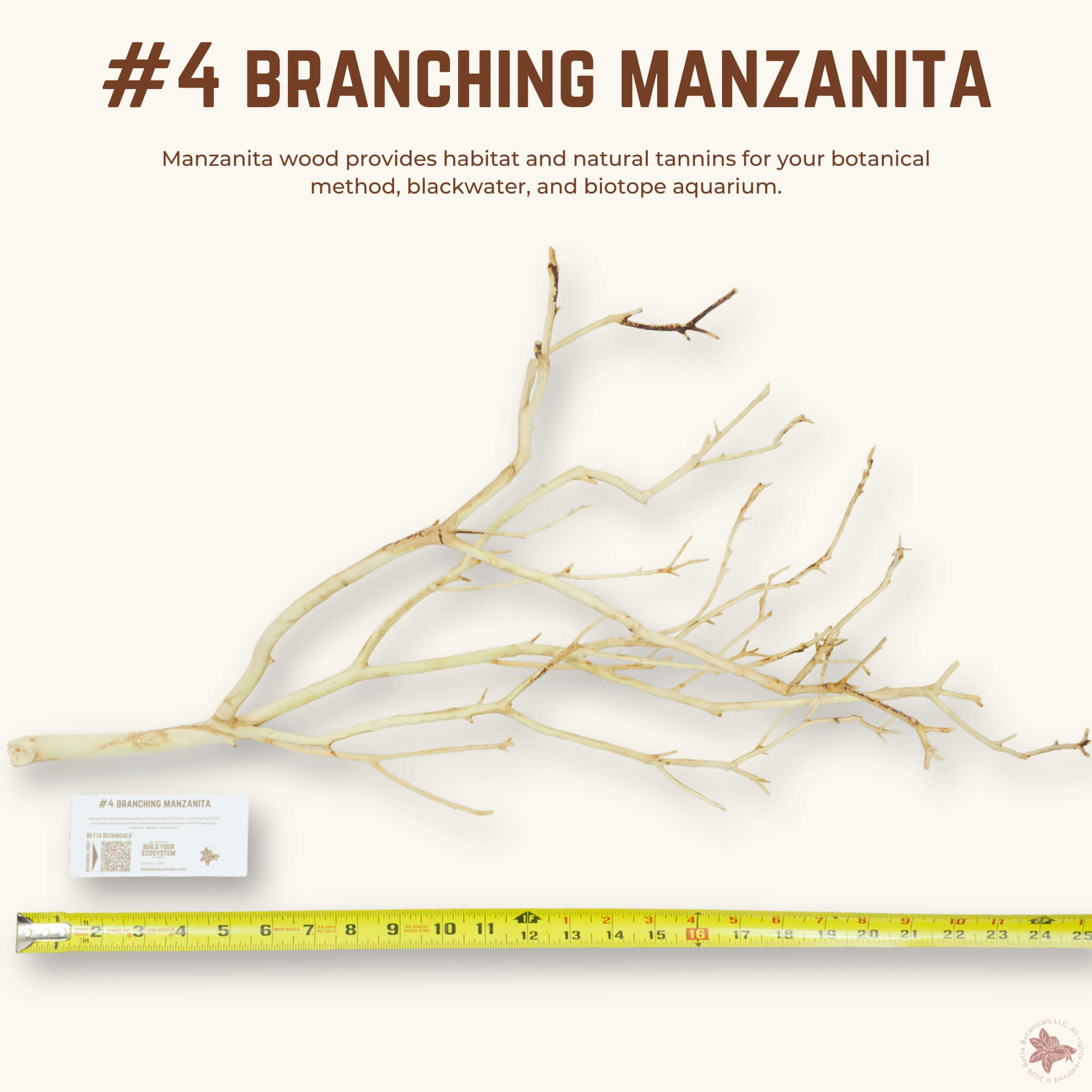 Branching Manzanita | WYSIWYG Pieces