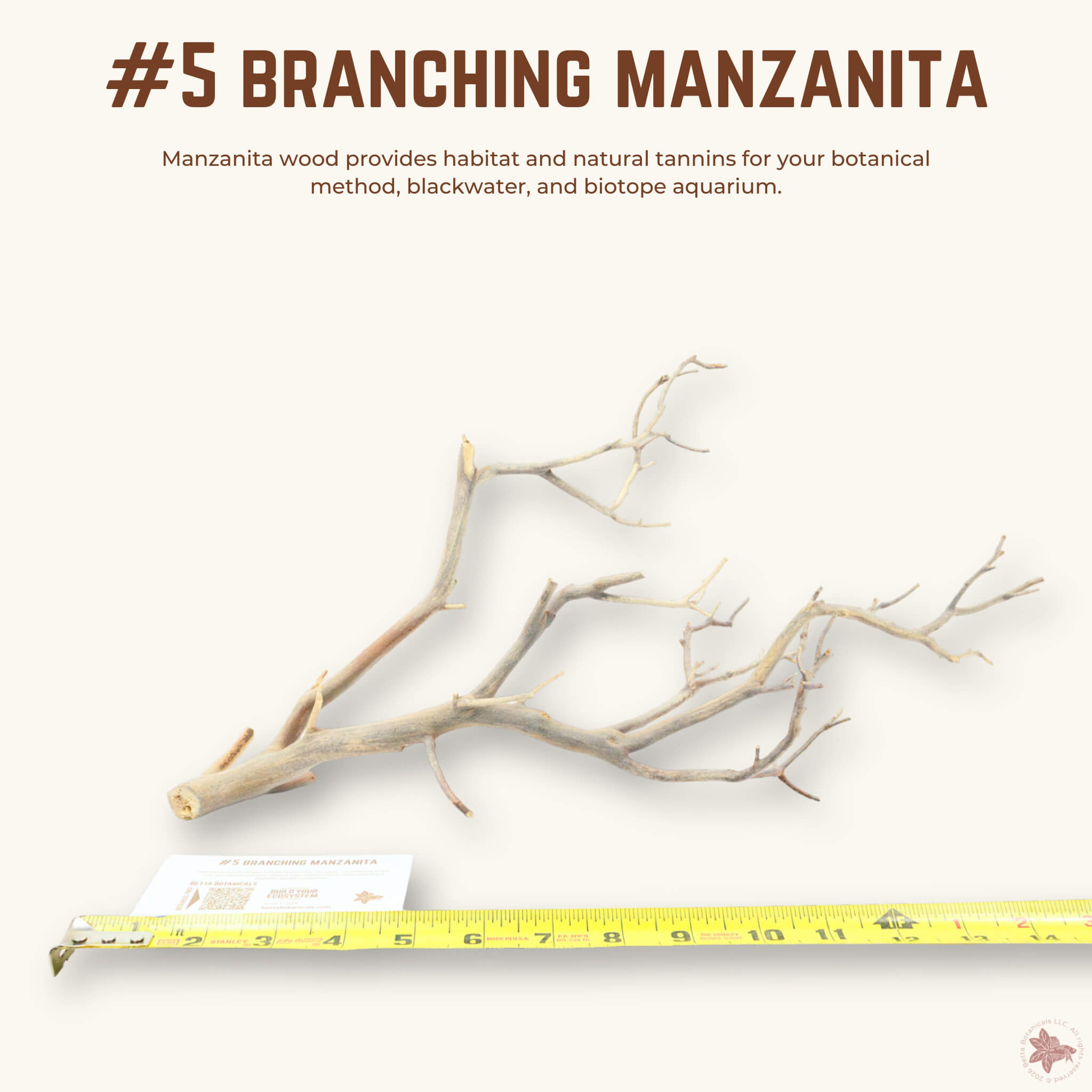 Branching Manzanita | WYSIWYG Pieces