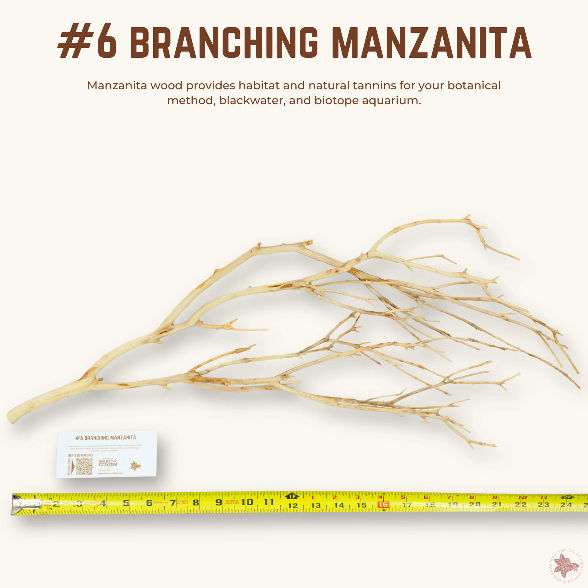 Branching Manzanita | WYSIWYG Pieces