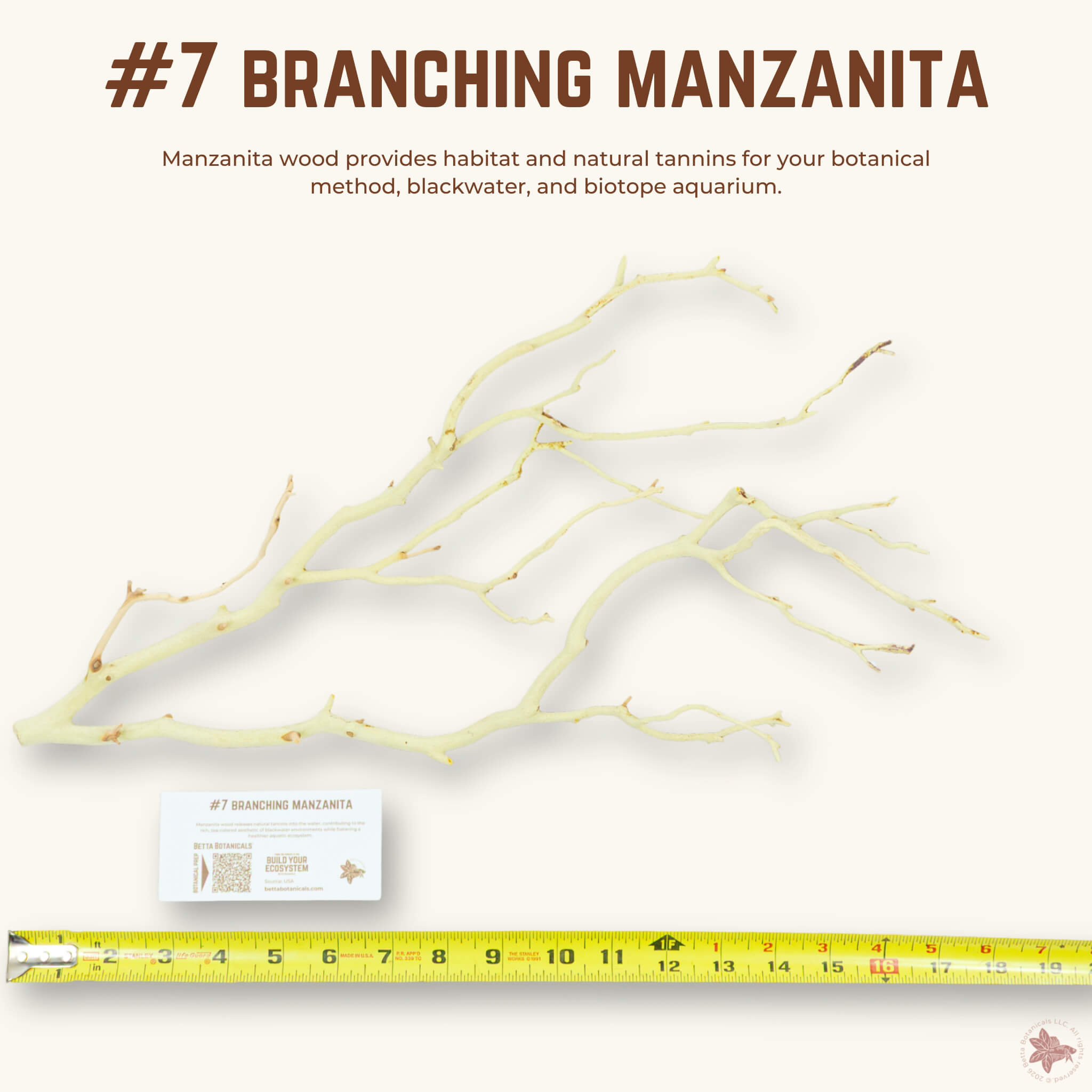 Branching Manzanita | WYSIWYG Pieces