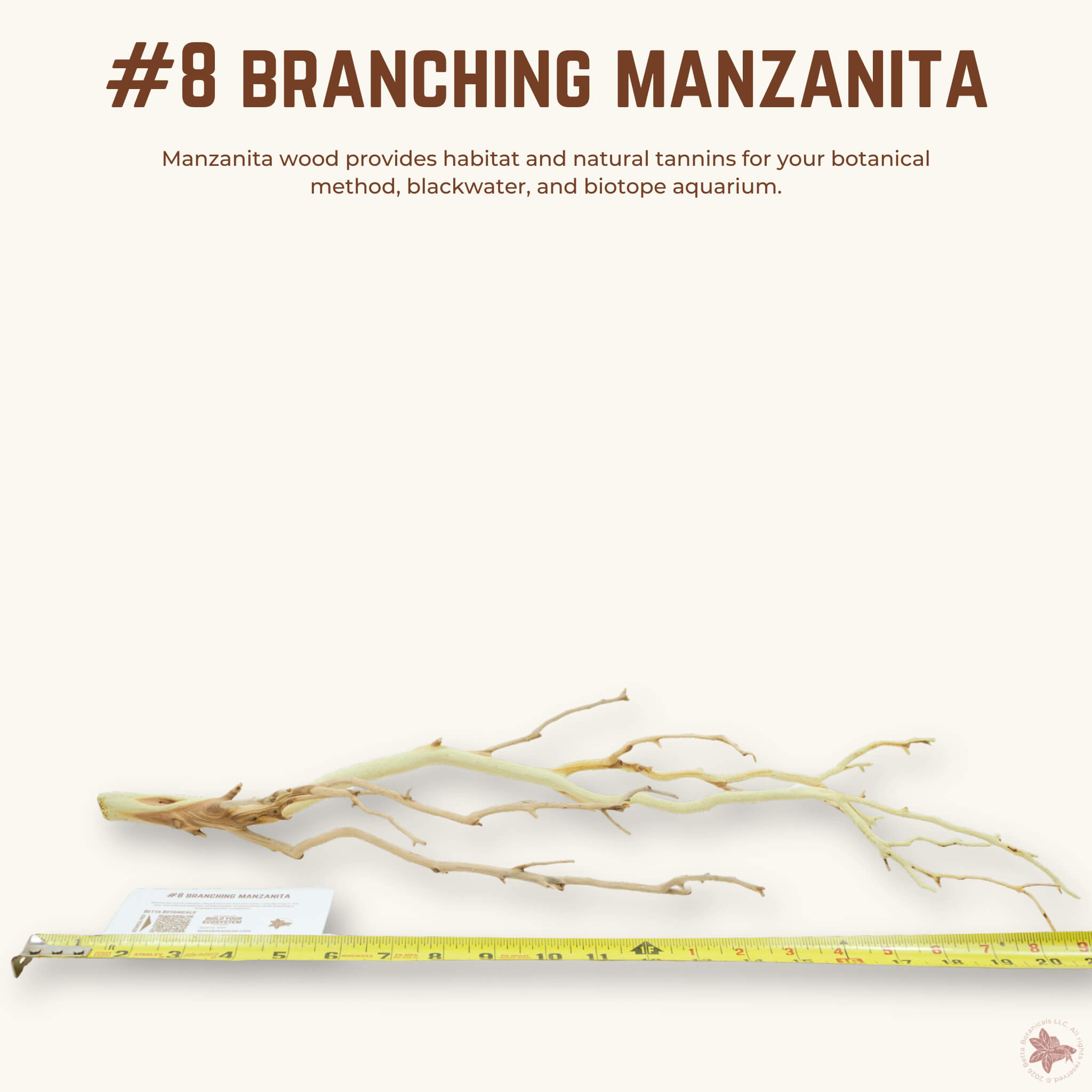 Branching Manzanita | WYSIWYG Pieces