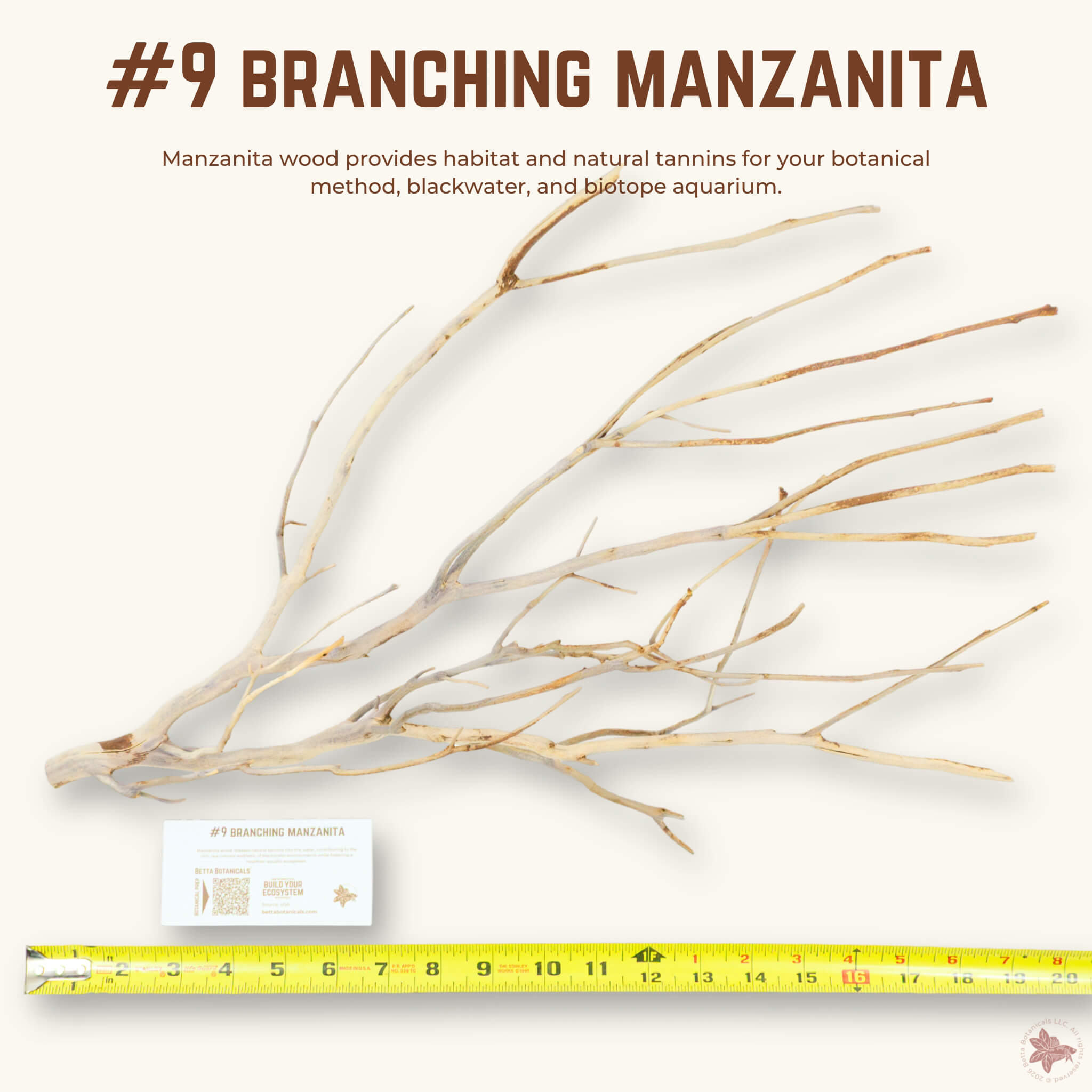 Branching Manzanita | WYSIWYG Pieces