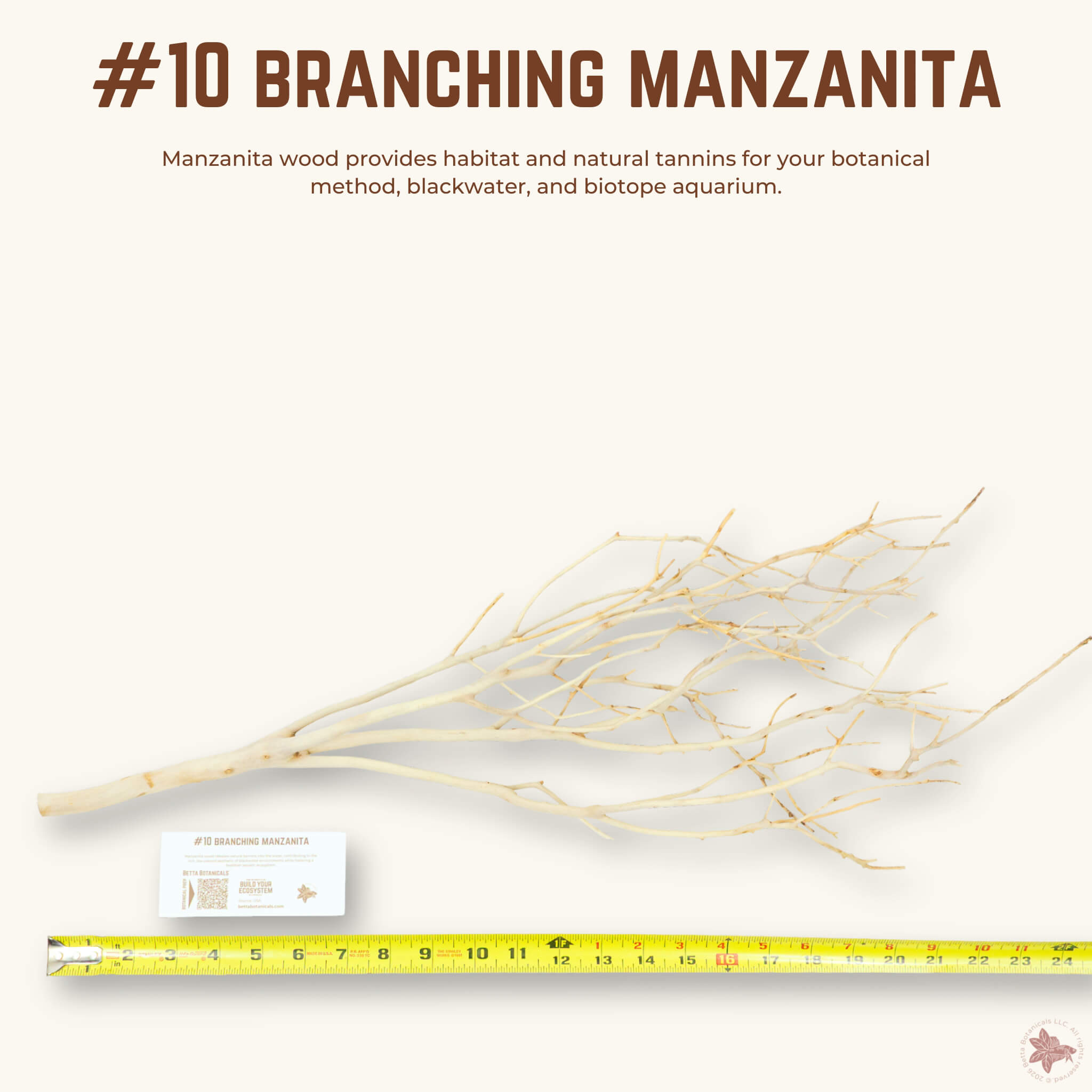 Branching Manzanita | WYSIWYG Pieces