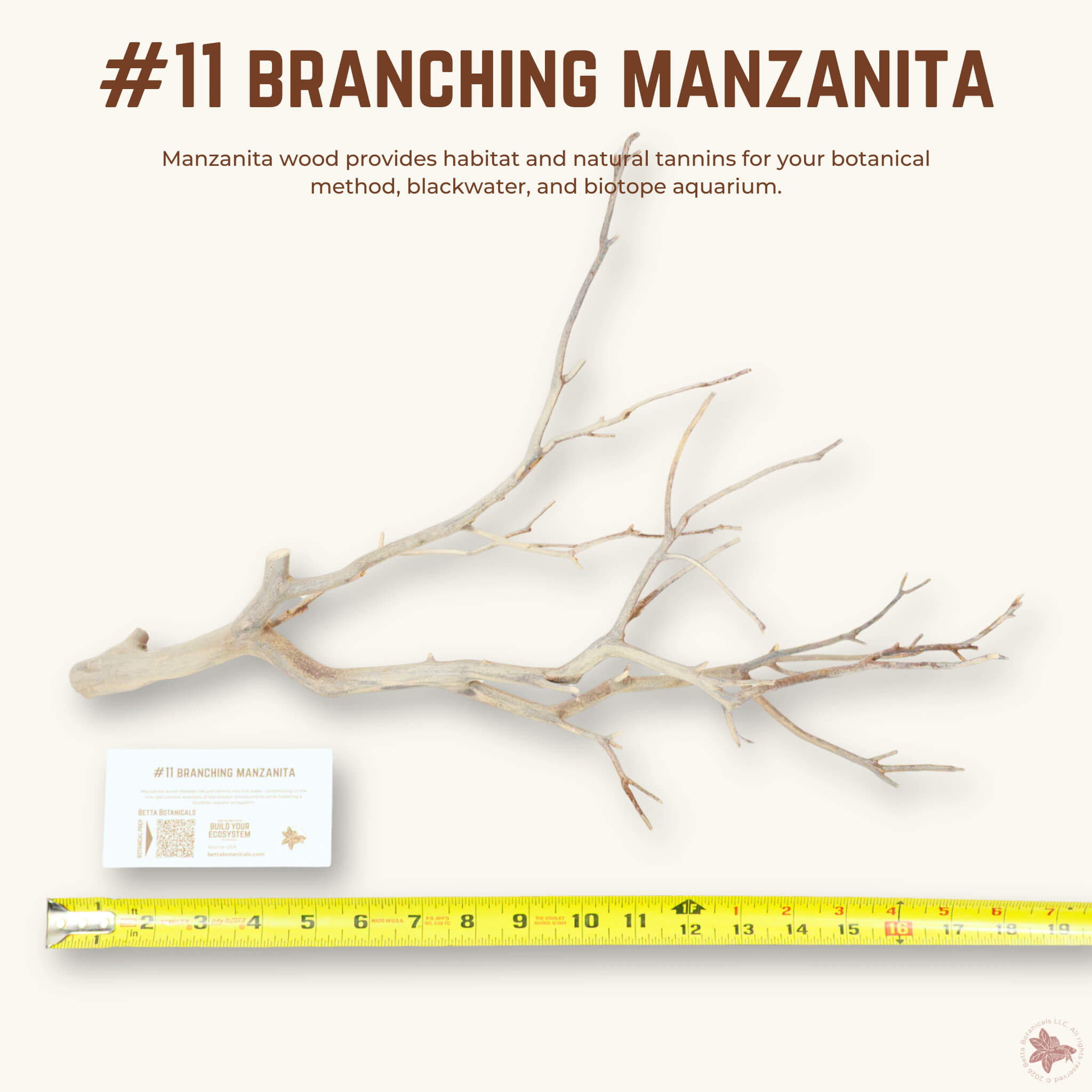Branching Manzanita | WYSIWYG Pieces