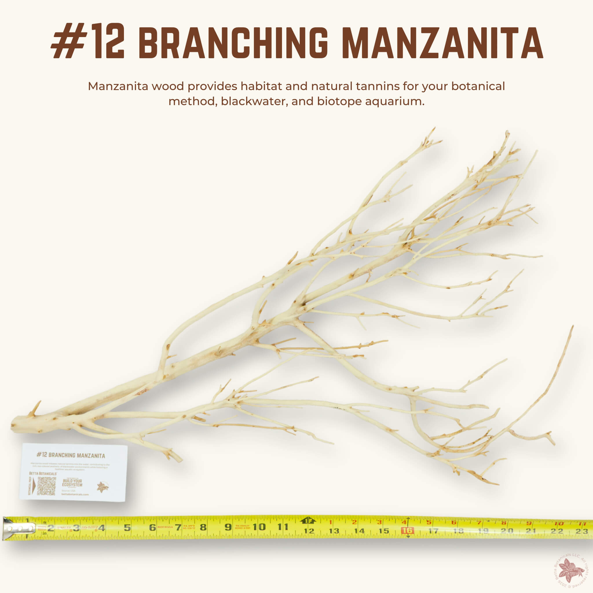 Branching Manzanita | WYSIWYG Pieces