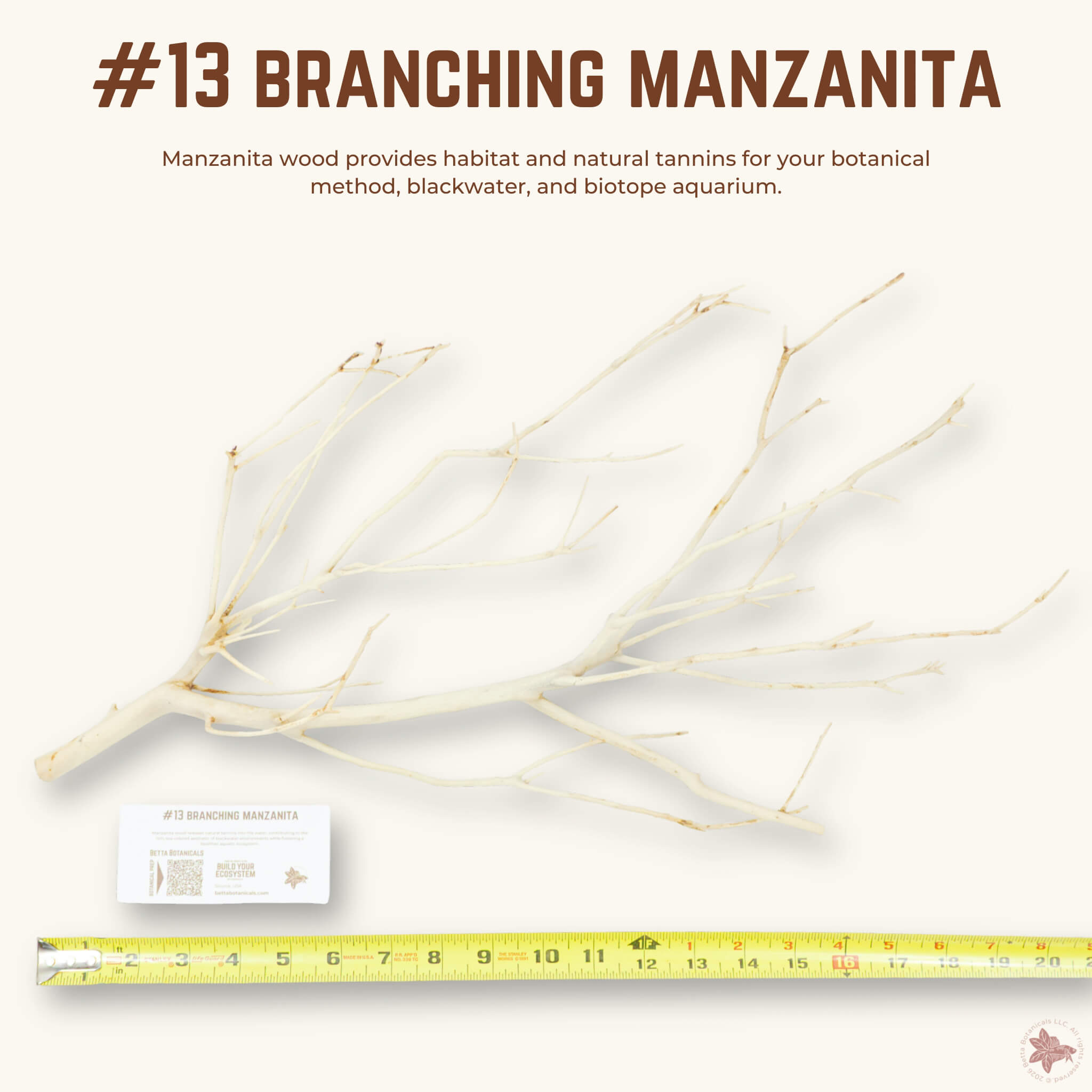 Branching Manzanita | WYSIWYG Pieces