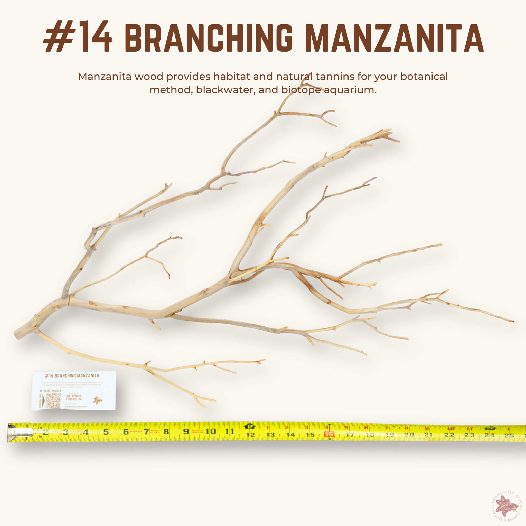 Branching Manzanita | WYSIWYG Pieces