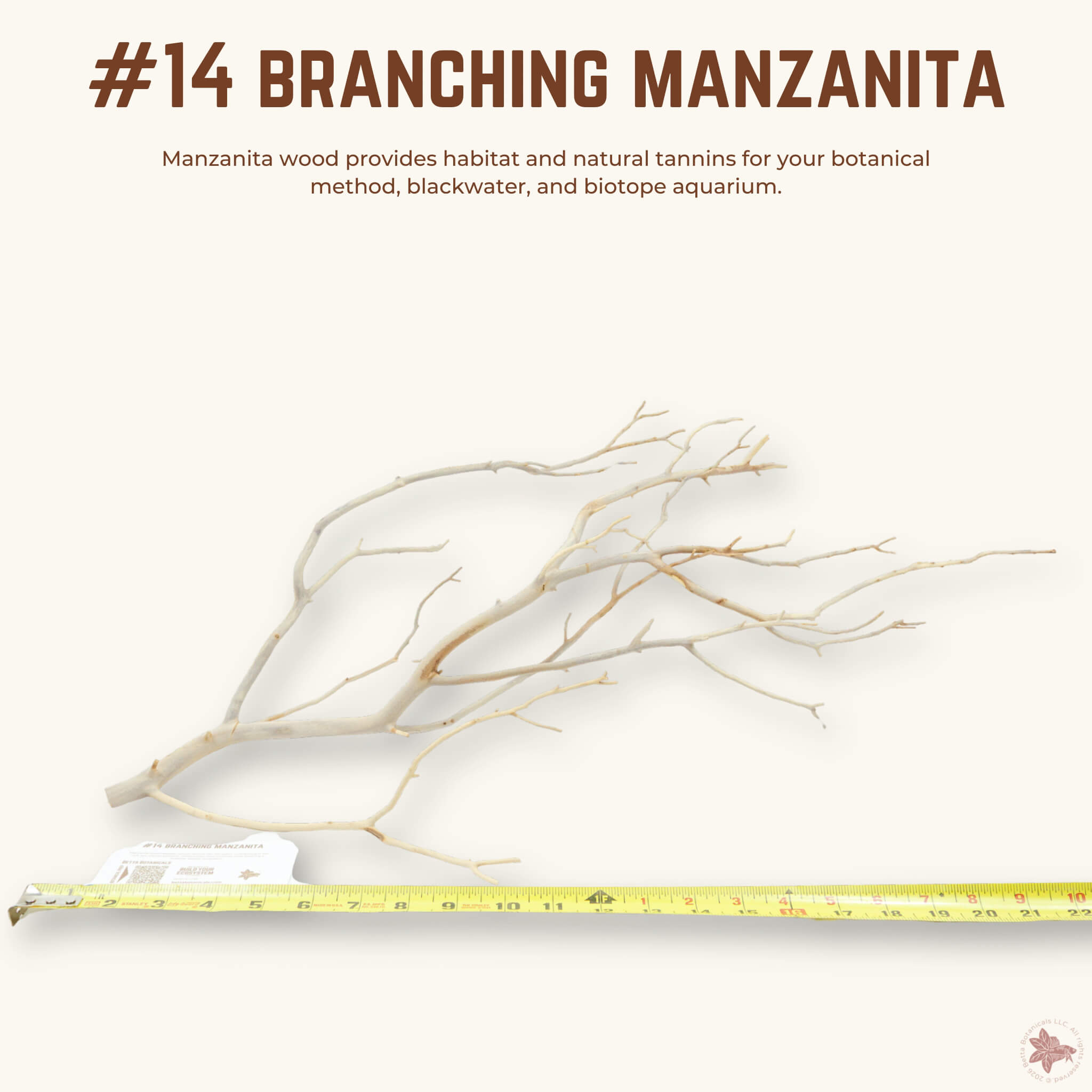 Branching Manzanita | WYSIWYG Pieces