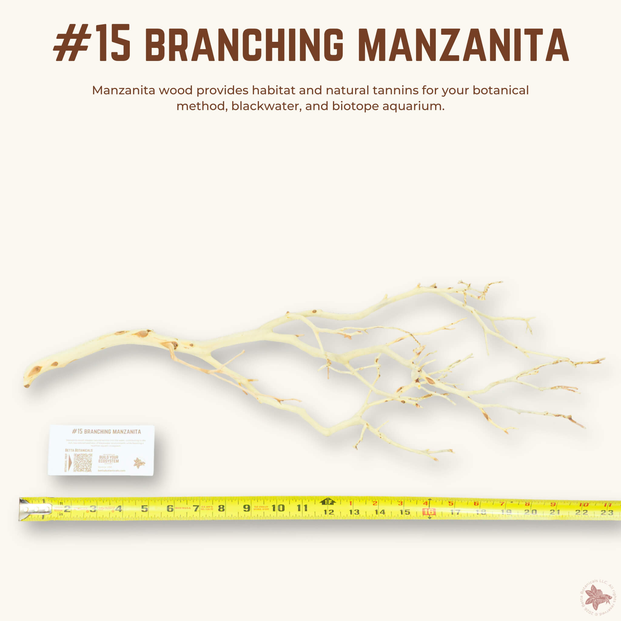 Branching Manzanita | WYSIWYG Pieces