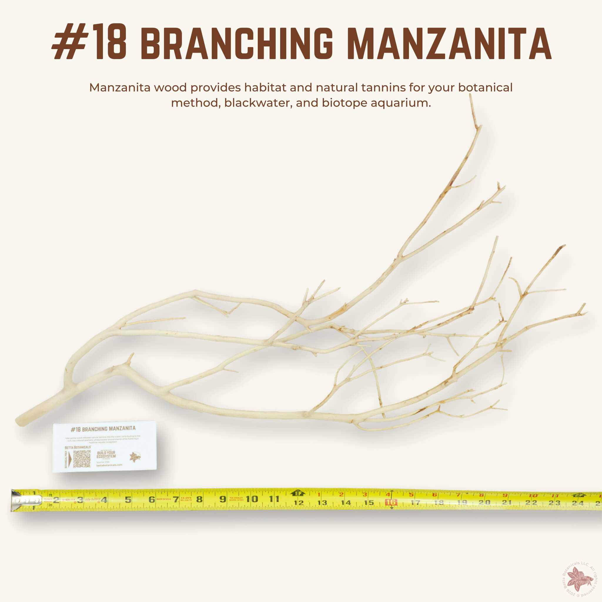 Branching Manzanita | WYSIWYG Pieces