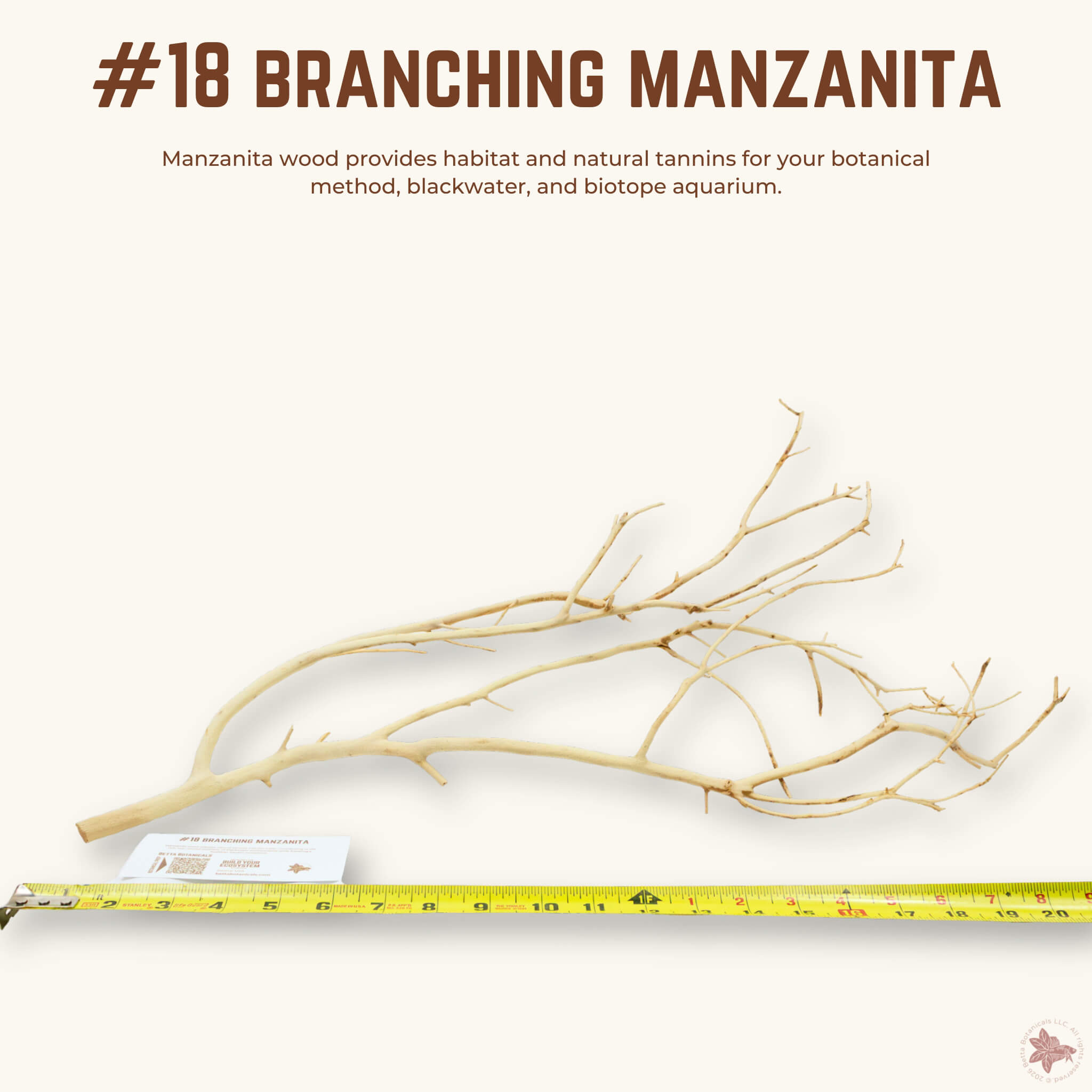 Branching Manzanita | WYSIWYG Pieces