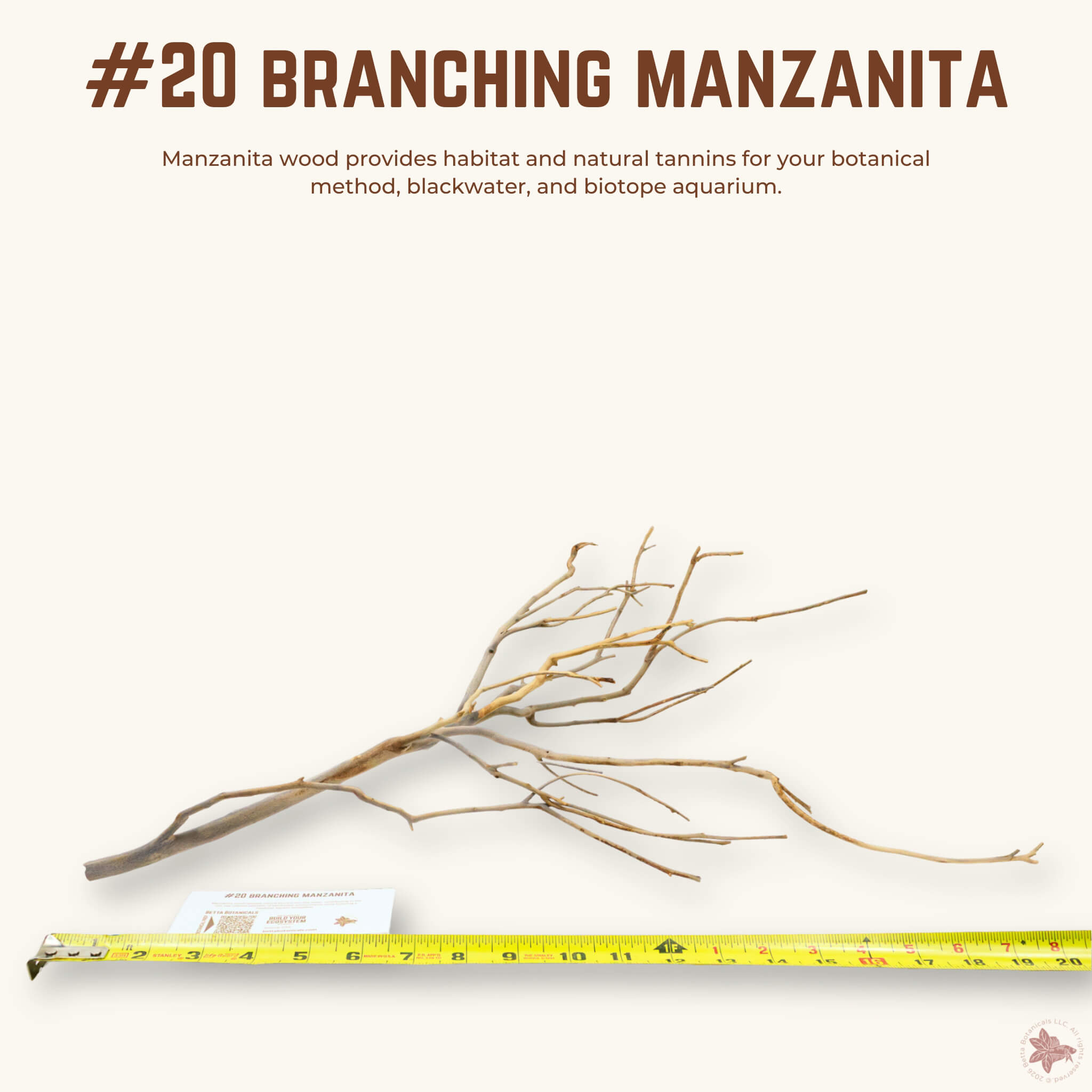 Branching Manzanita | WYSIWYG Pieces