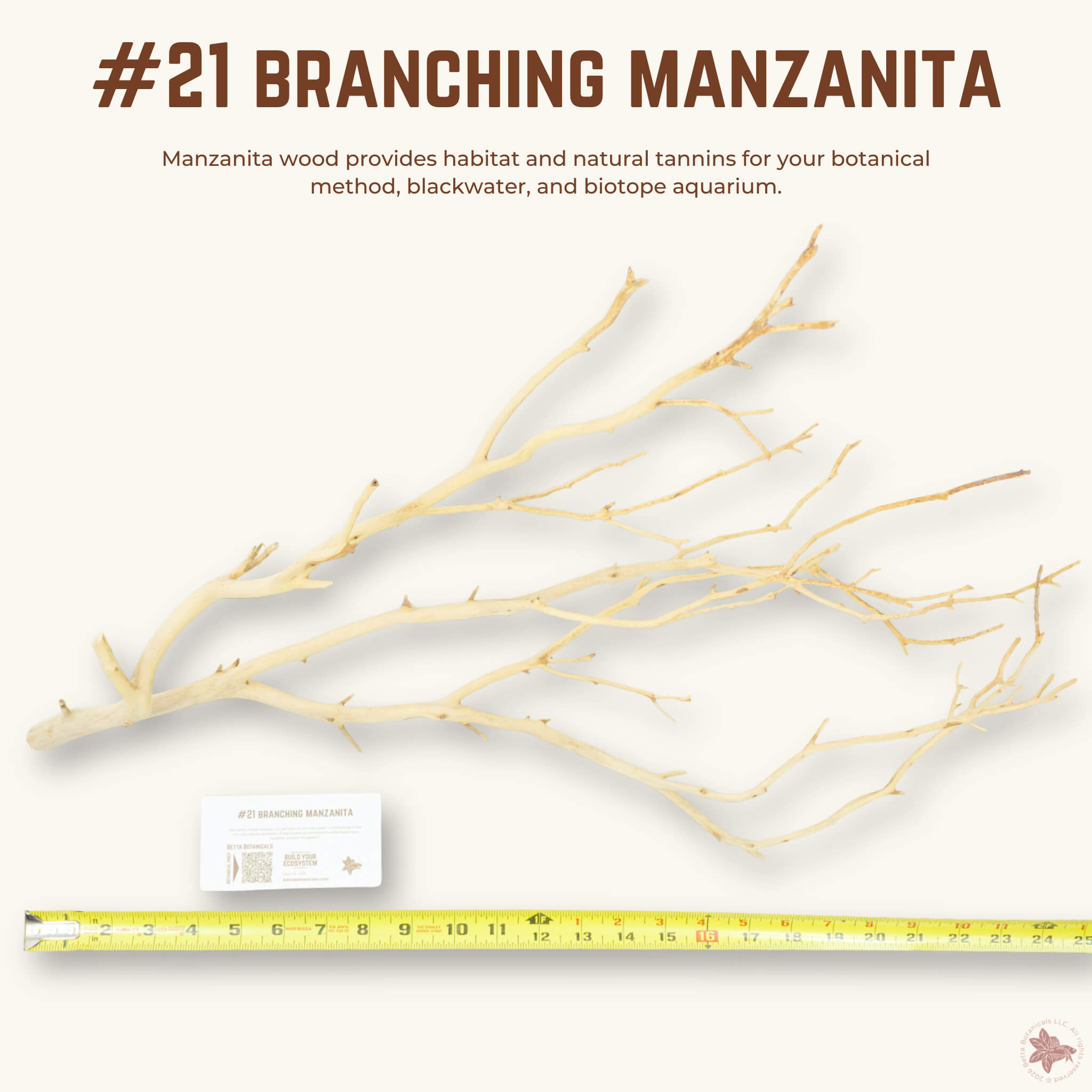 Branching Manzanita | WYSIWYG Pieces