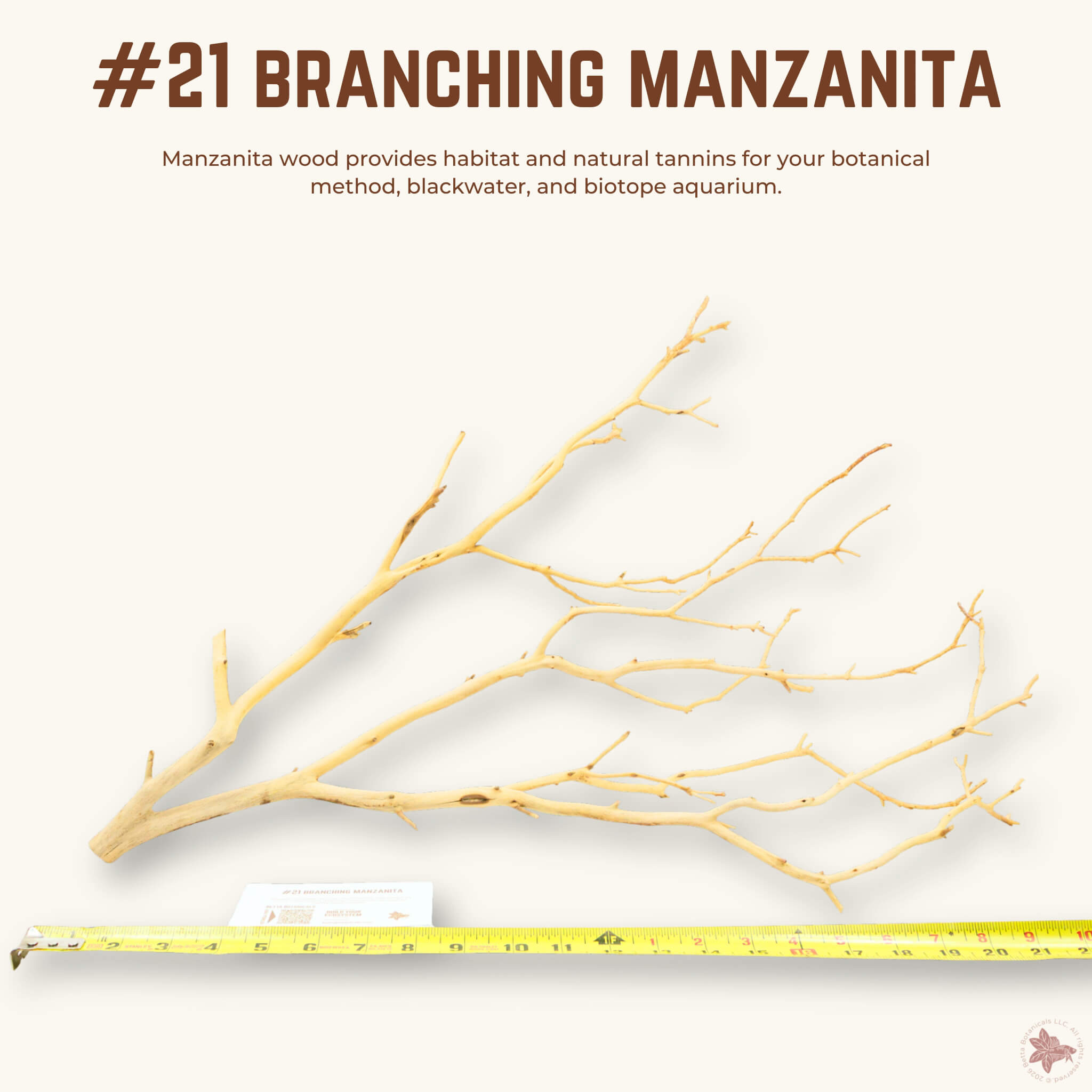 Branching Manzanita | WYSIWYG Pieces