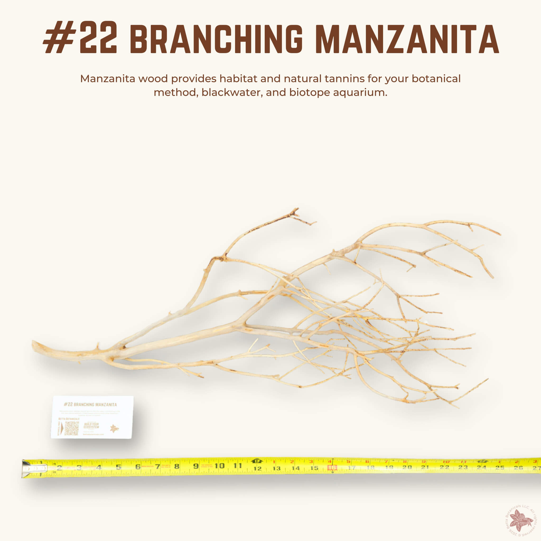 Branching Manzanita | WYSIWYG Pieces