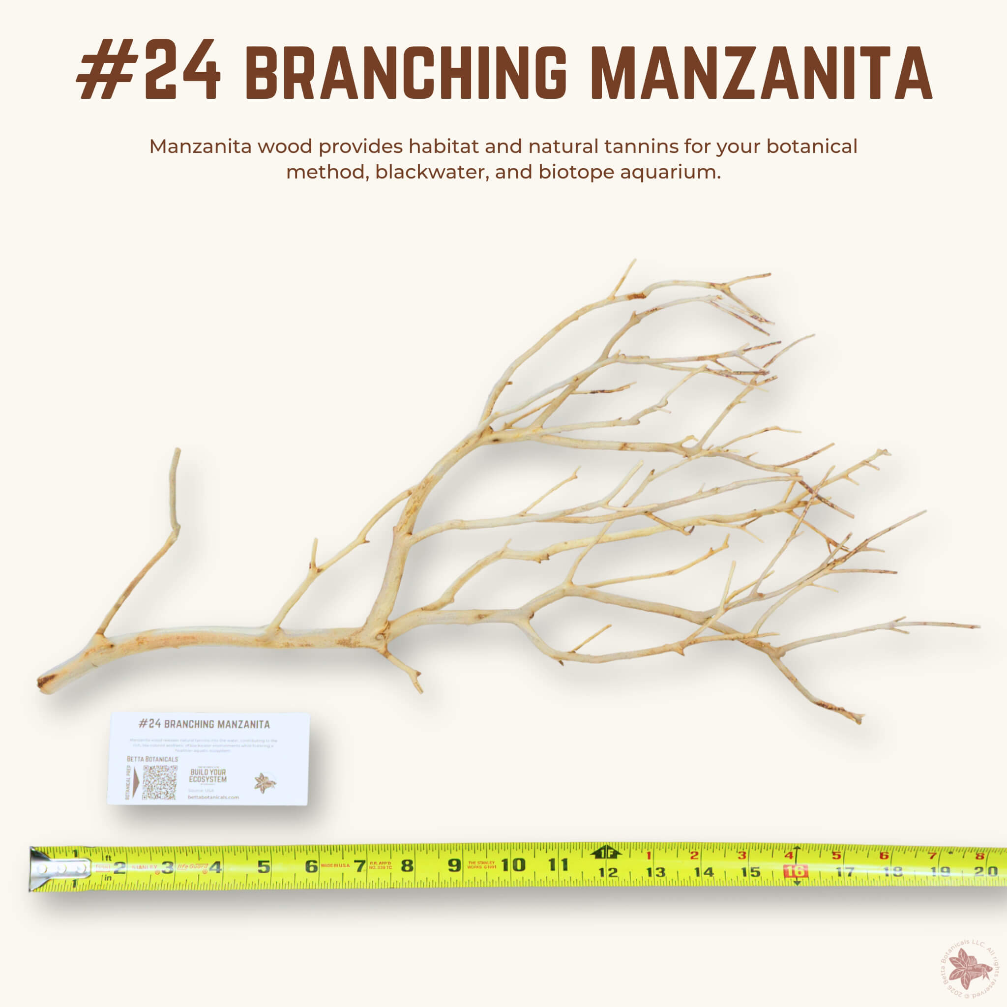 Branching Manzanita | WYSIWYG Pieces