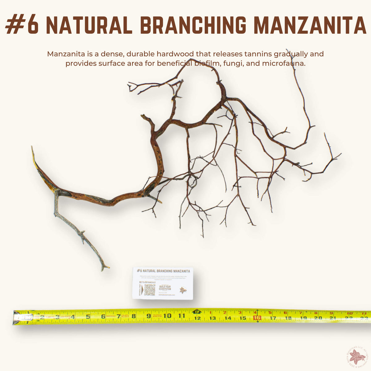 Natural Branching Manzanita | WYSIWYG Pieces