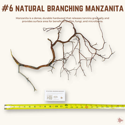 Natural Branching Manzanita | WYSIWYG Pieces