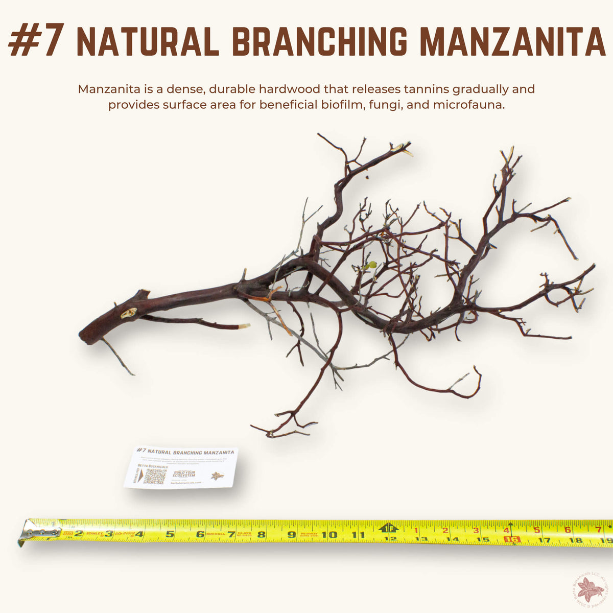 Natural Branching Manzanita | WYSIWYG Pieces
