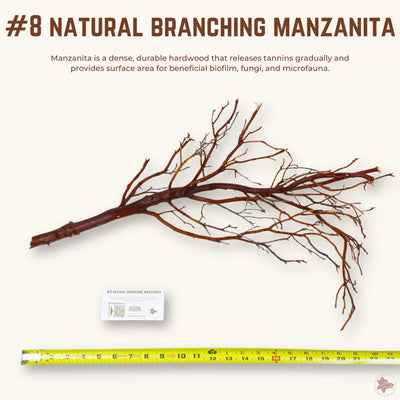 Natural Branching Manzanita | WYSIWYG Pieces