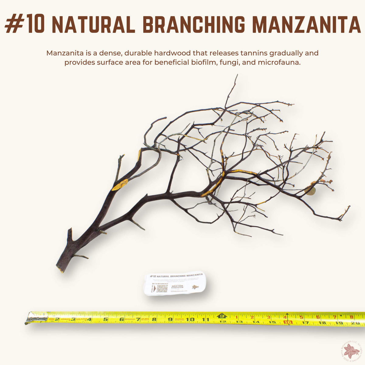 Natural Branching Manzanita | WYSIWYG Pieces